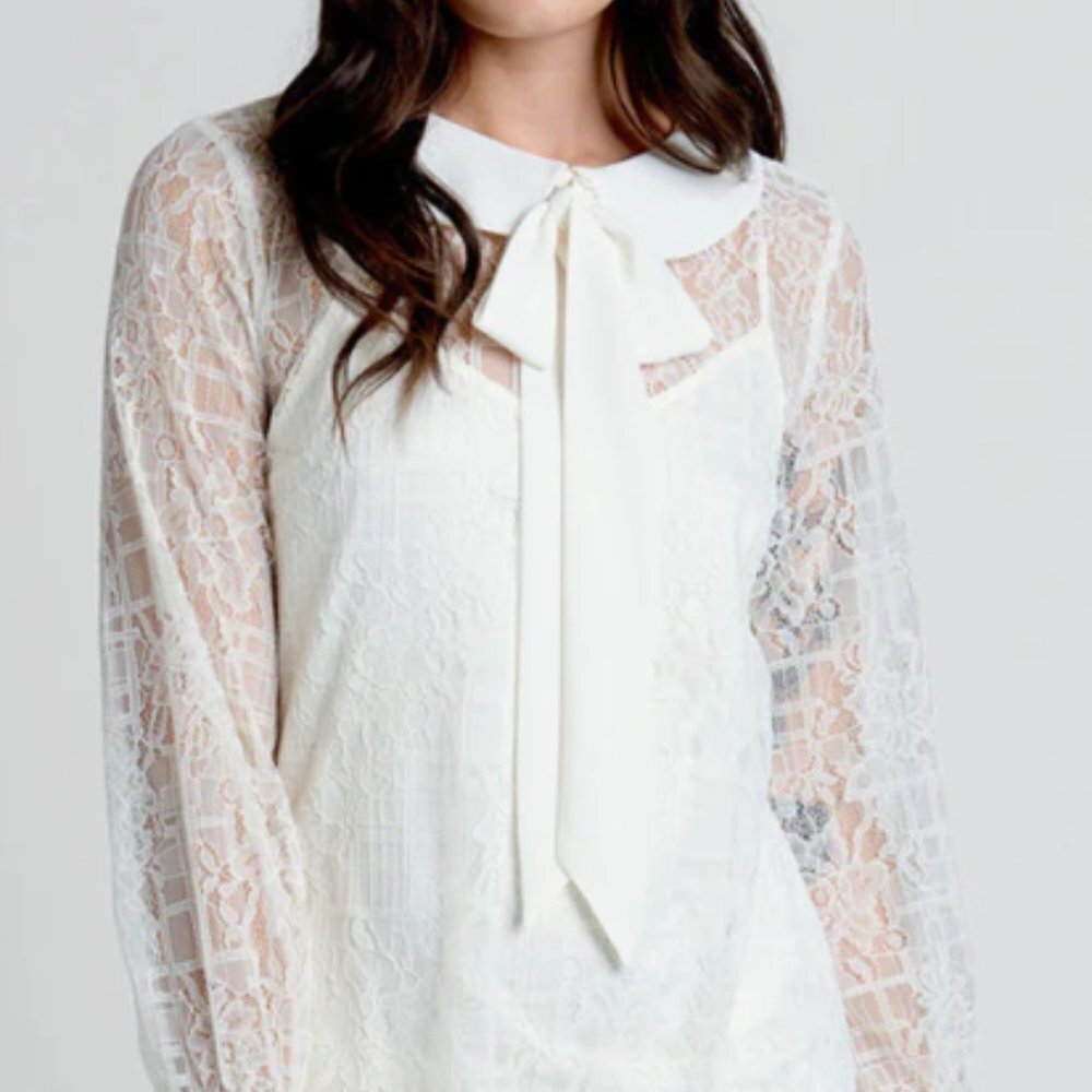 NWT Modcloth Honeymoon Maven Shift Dress
